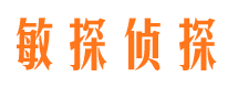 渝水市私家侦探